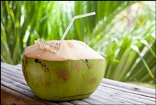 Taze Hindistan Cevizi Kullanımı ve Faydaları Nelerdir? Taze Hindistan Cevizi Kullanımı ve Faydaları Nelerdir?