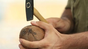 Hindistan Cevizi Nasıl Açılır? Hindistan Cevizi Nasıl Açılır?